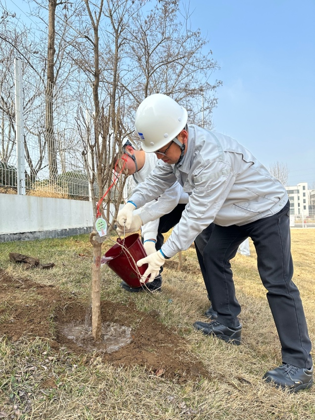 植绿护绿·同心同行 | EEC开展2026年植树节主题活动